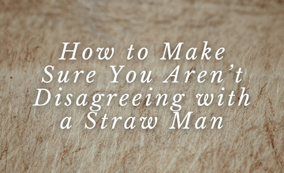 How to Make Sure You Aren’t Disagreeing with a Straw Man