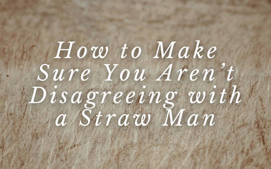 How to Make Sure You Aren’t Disagreeing with a Straw Man