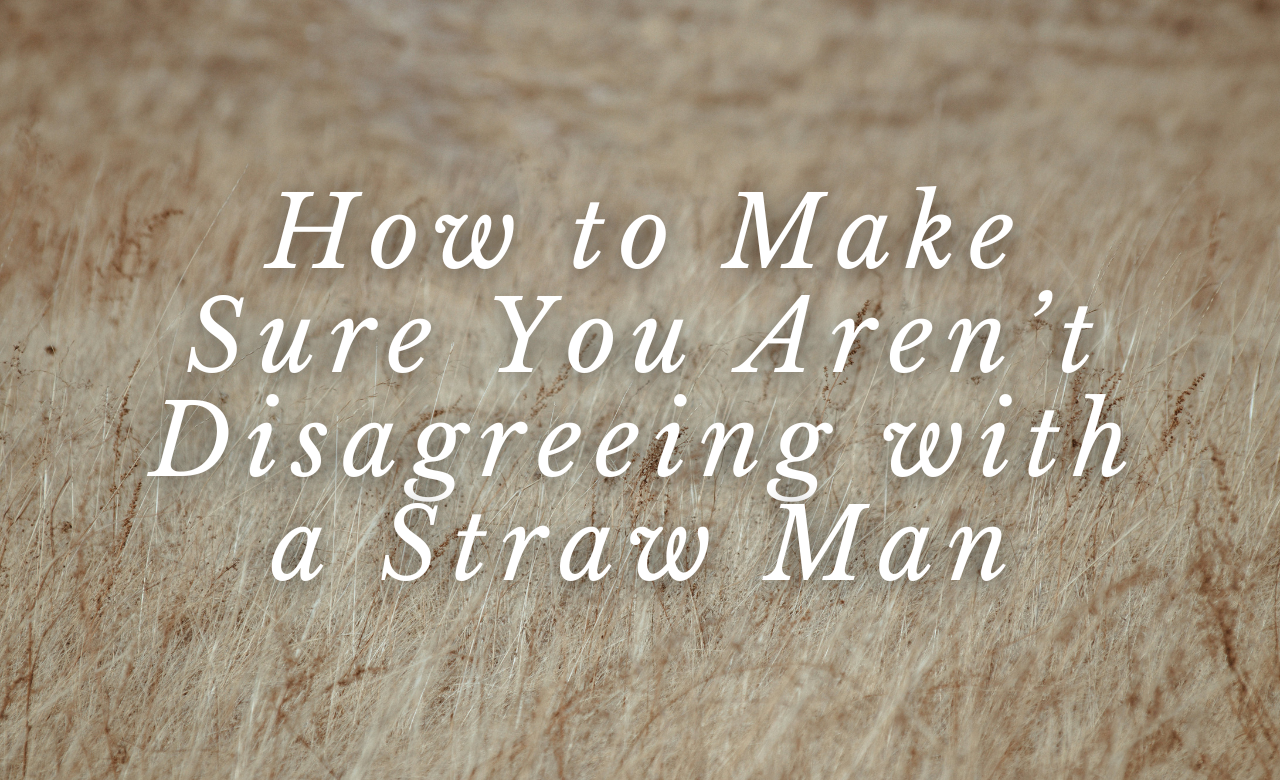 How to Make Sure You Aren’t Disagreeing with a Straw Man