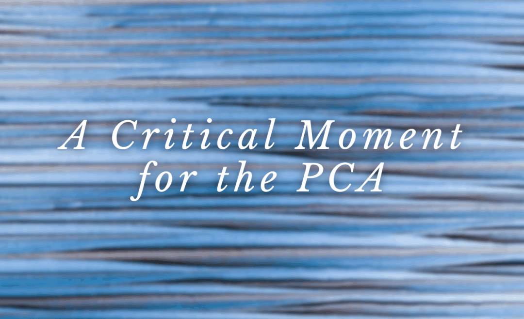 A Critical Moment for the PCA