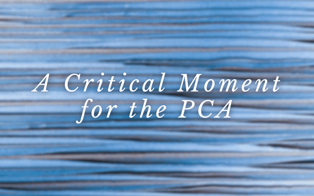 A Critical Moment for the PCA