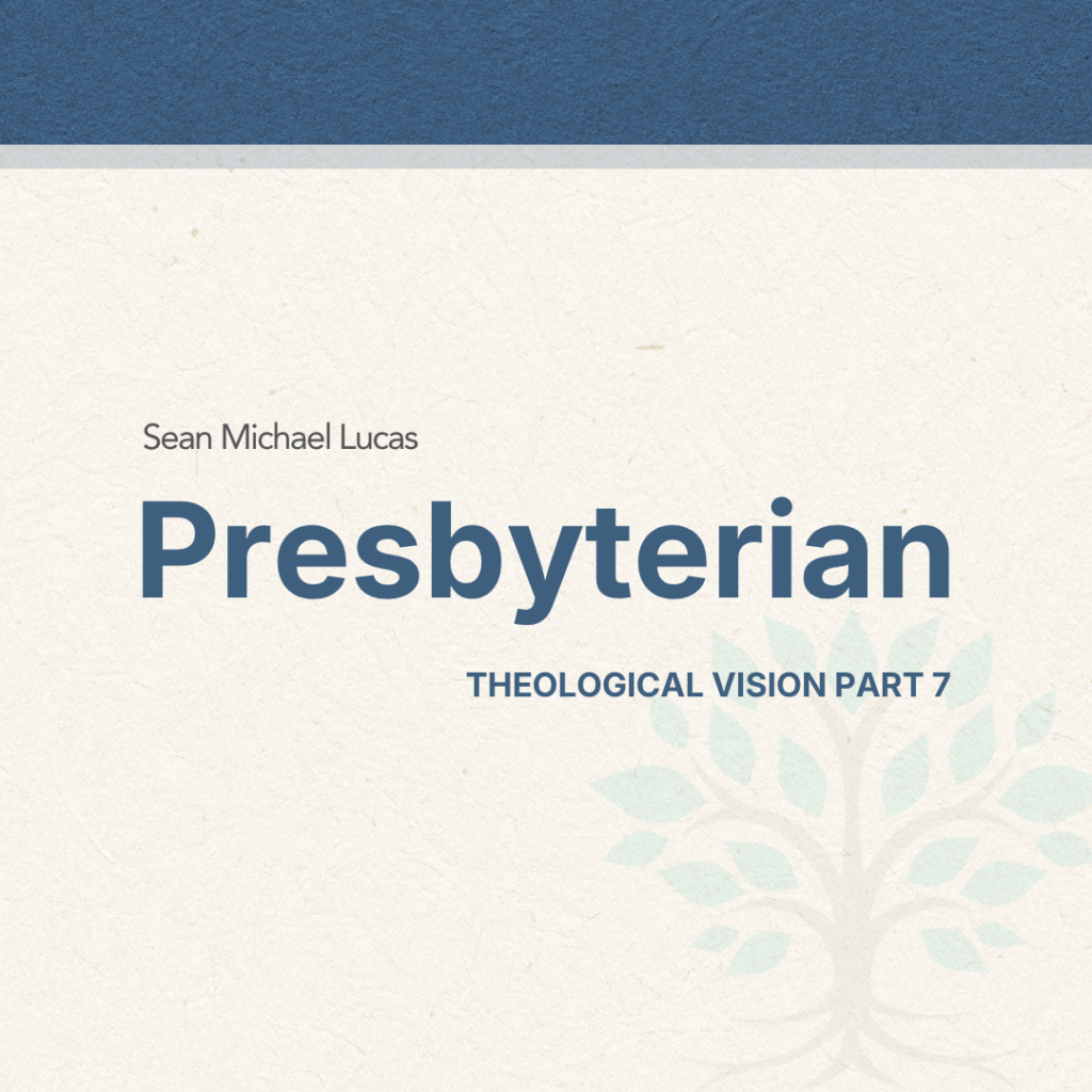 Presbyterian—Theological Vision Part Seven