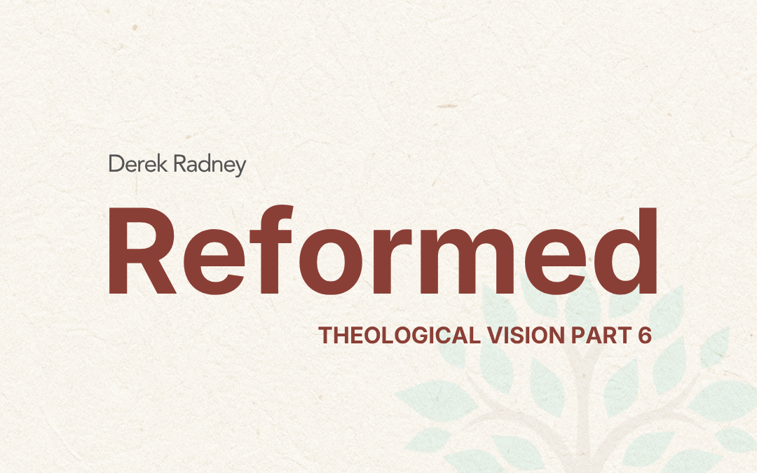 Reformed—Theological Vision Part Six