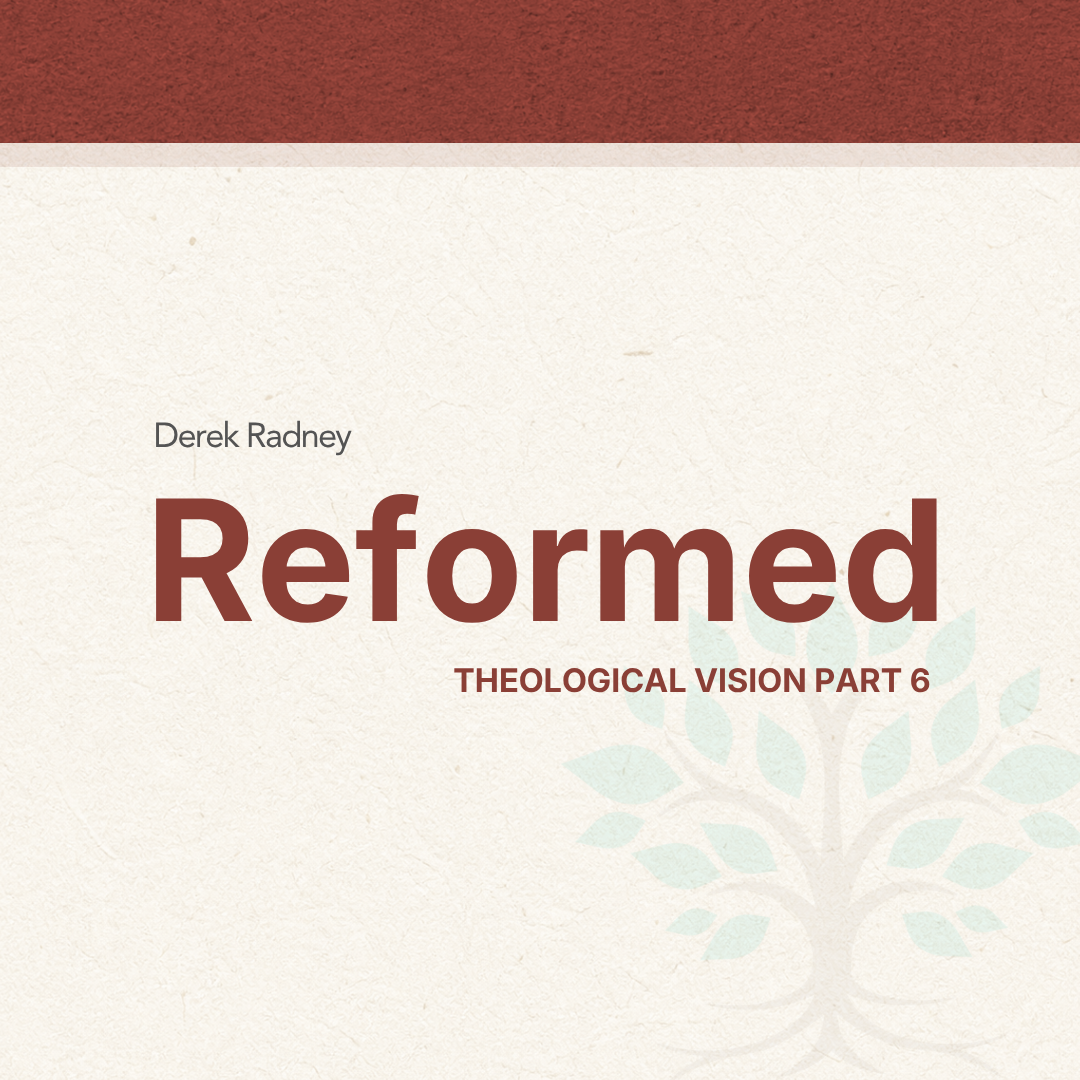 Reformed—Theological Vision Part Six
